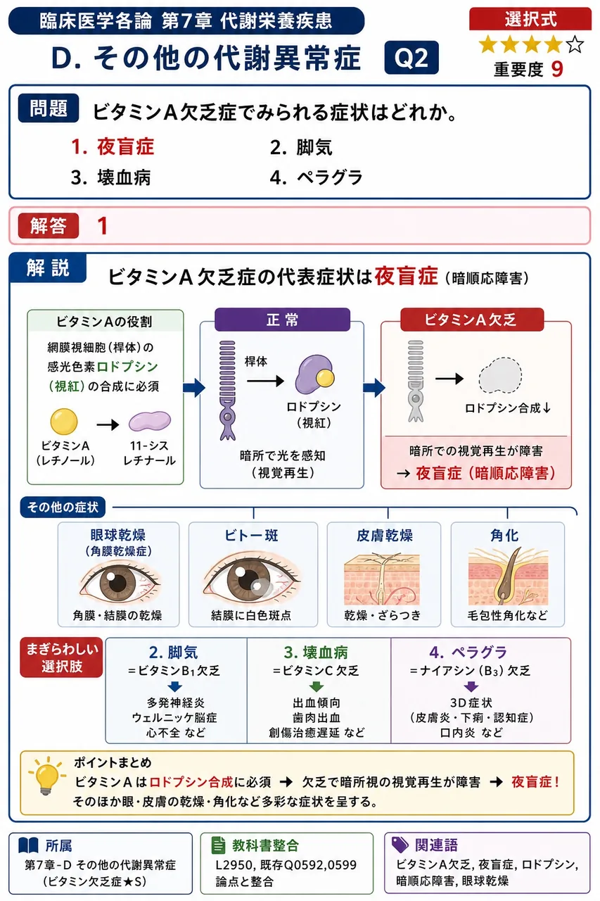 ビタミンA欠乏症でみられる症状はどれか。 解説図