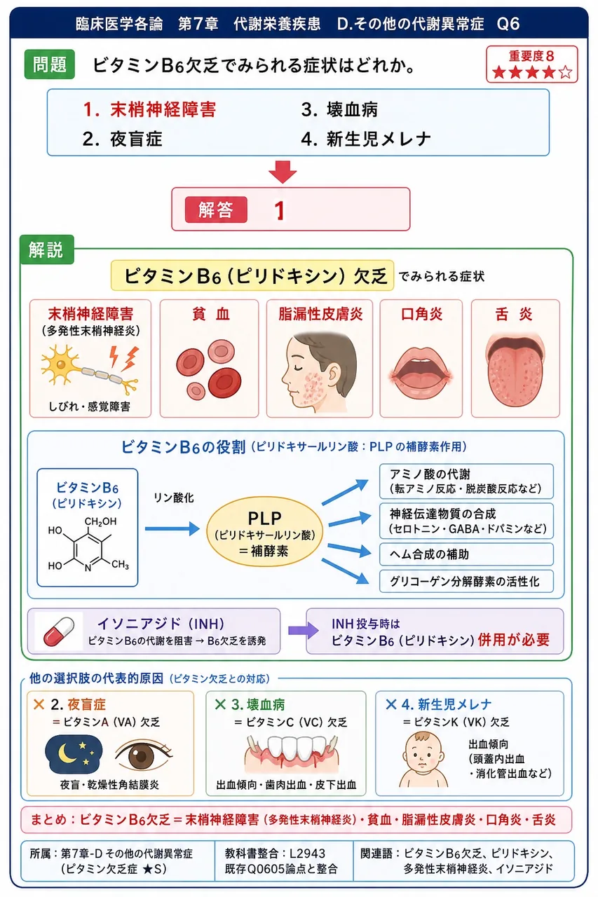 ビタミンB6欠乏でみられる症状はどれか。 解説図