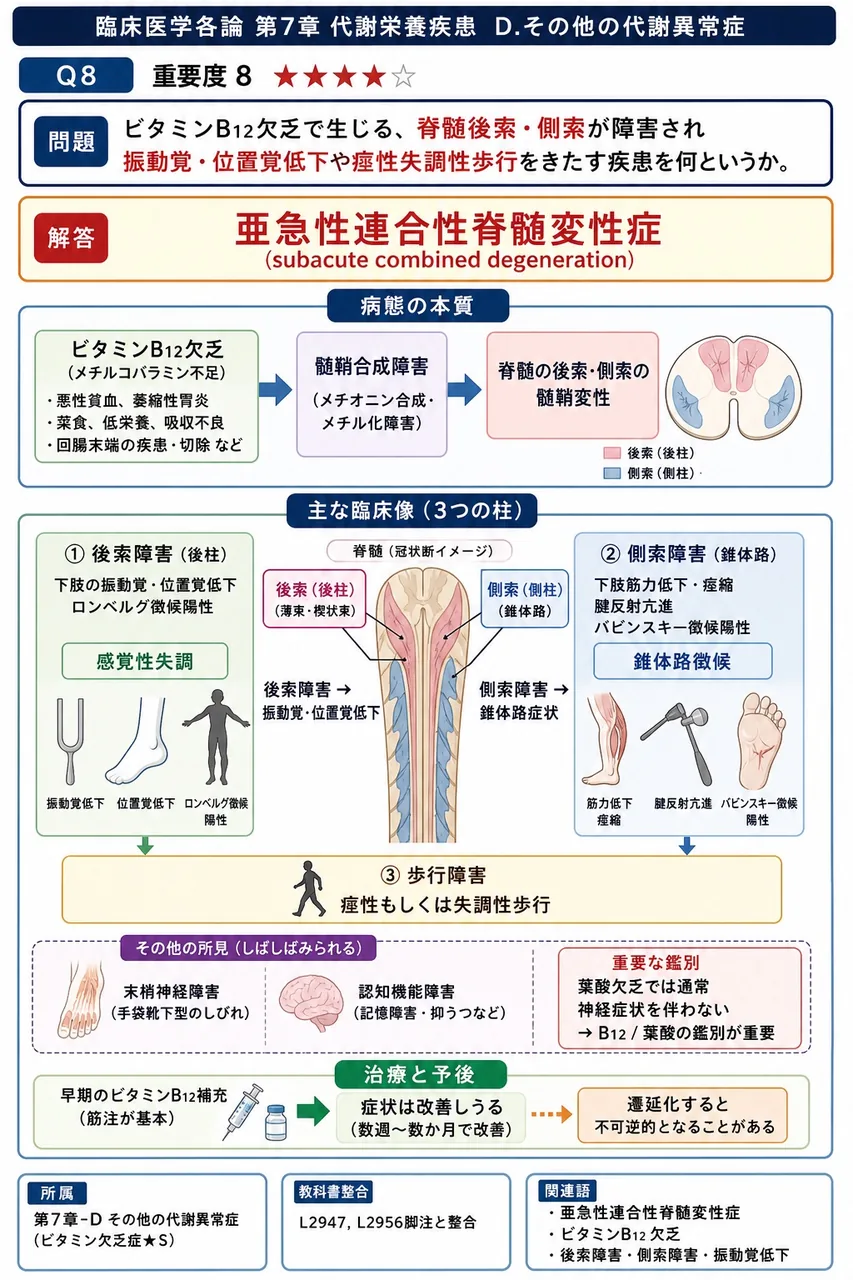ビタミンB12欠乏で生じる、脊髄後索・側索が障害され振動覚・位置覚低下や痙性失調性歩行をきたす疾患を何というか。 解説図