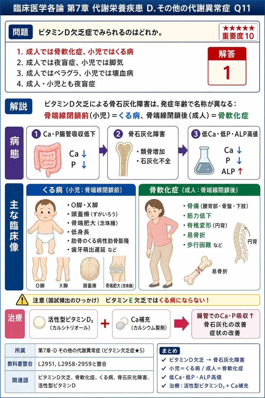 ビタミンD欠乏症でみられるのはどれか。 解説図