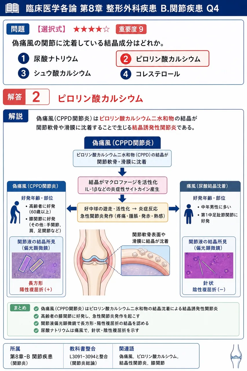 偽痛風の関節に沈着している結晶成分はどれか。 解説図