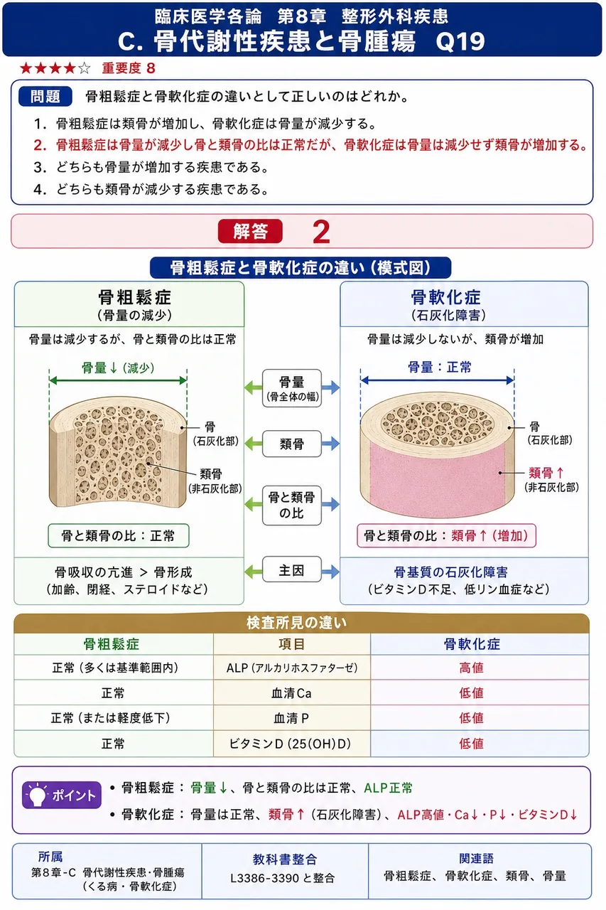 骨粗鬆症と骨軟化症の違いとして正しいのはどれか。 解説図