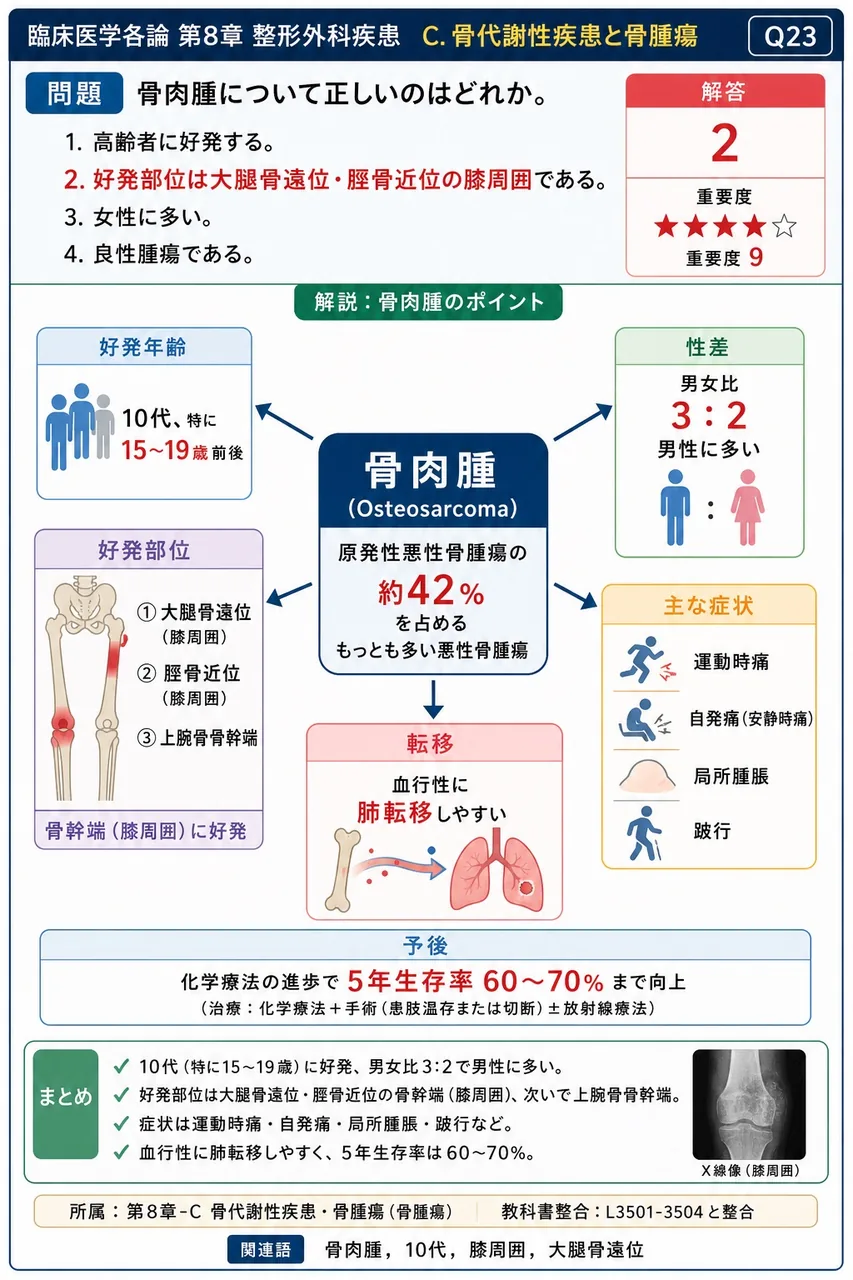 骨肉腫について正しいのはどれか。 解説図