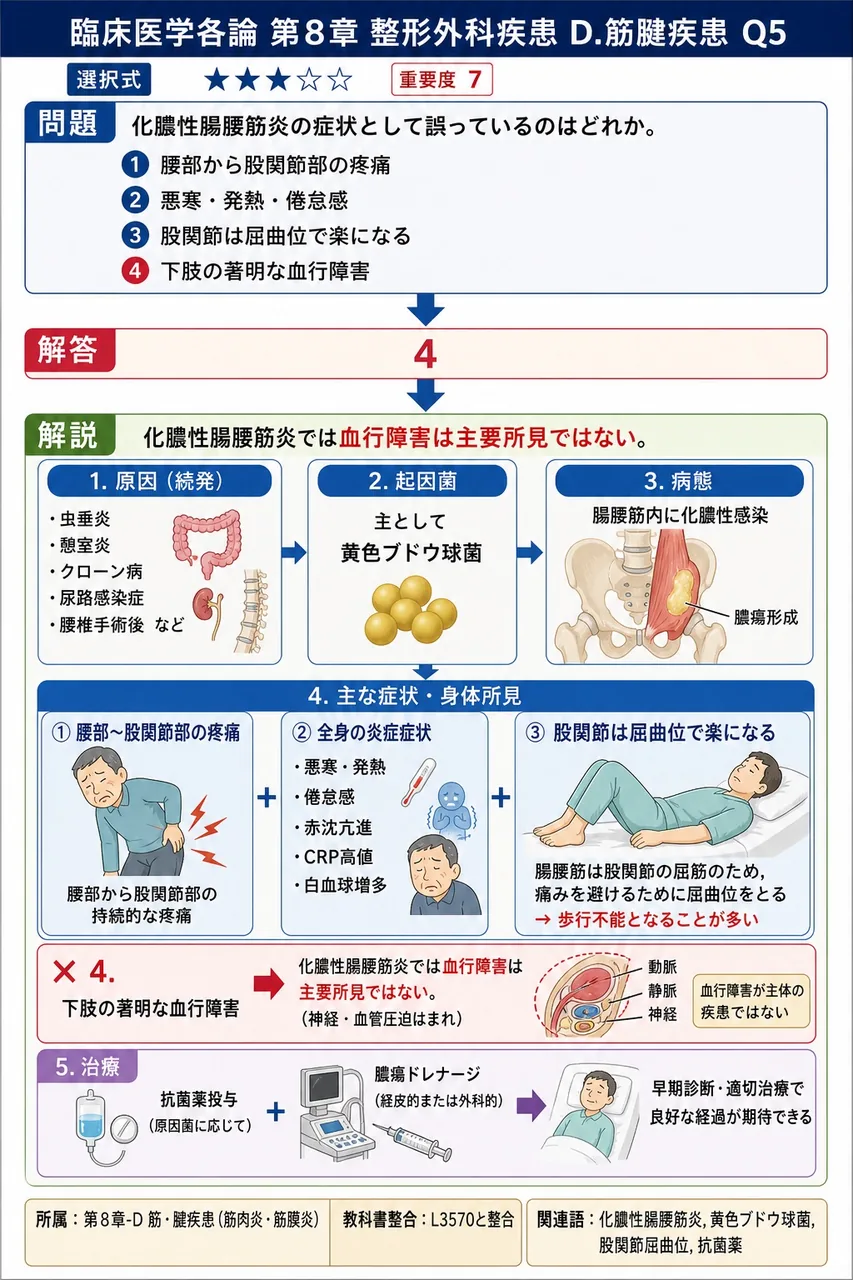 化膿性腸腰筋炎の症状として誤っているのはどれか。 解説図