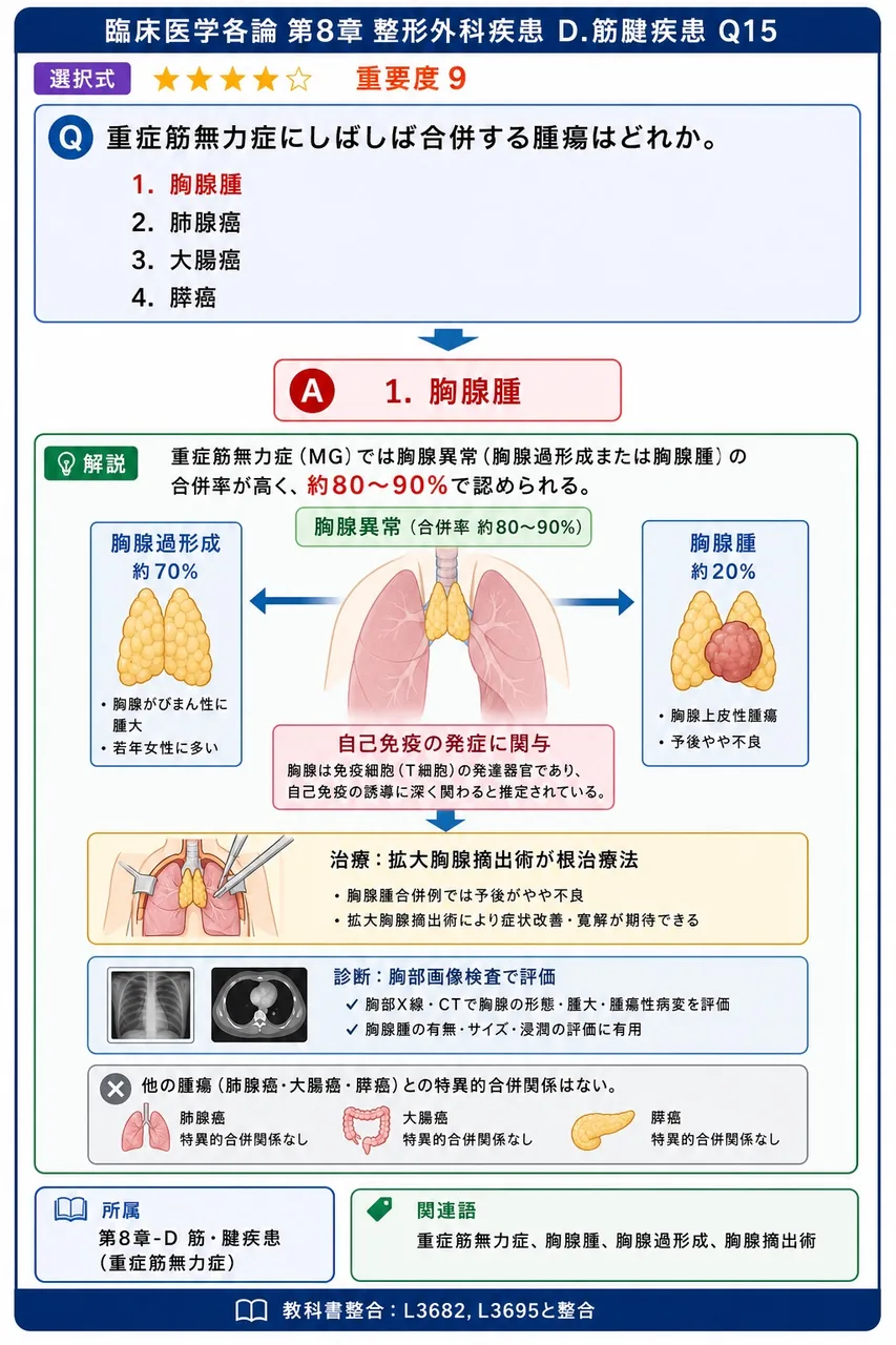 重症筋無力症にしばしば合併する腫瘍はどれか。 解説図