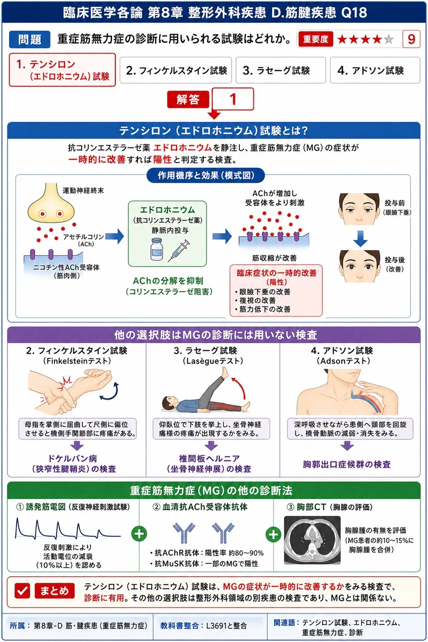 重症筋無力症の診断に用いられる試験はどれか。 解説図