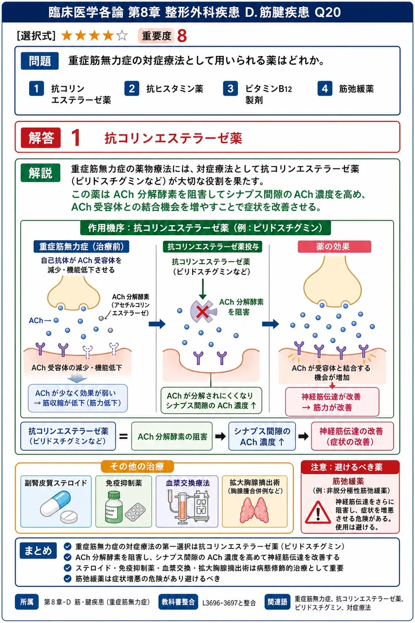 重症筋無力症の対症療法として用いられる薬はどれか。 解説図