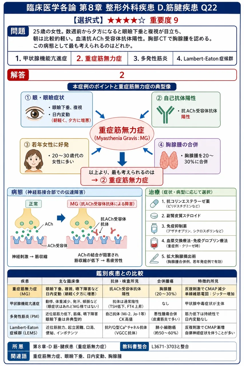 「25歳の女性。数週前から夕方になると眼瞼下垂と複視が目立ち、朝は比較的軽い。血清抗ACh受容体抗体陽性。胸部CTで胸腺腫を認める。」この病態として最も考えられるのはどれか。 解説図
