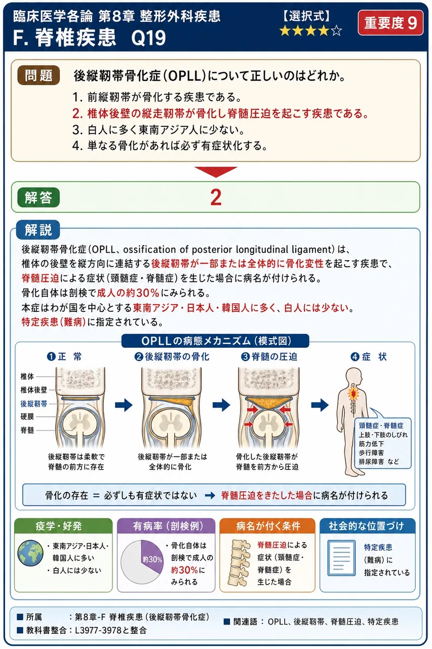 後縦靭帯骨化症(OPLL)について正しいのはどれか。 解説図