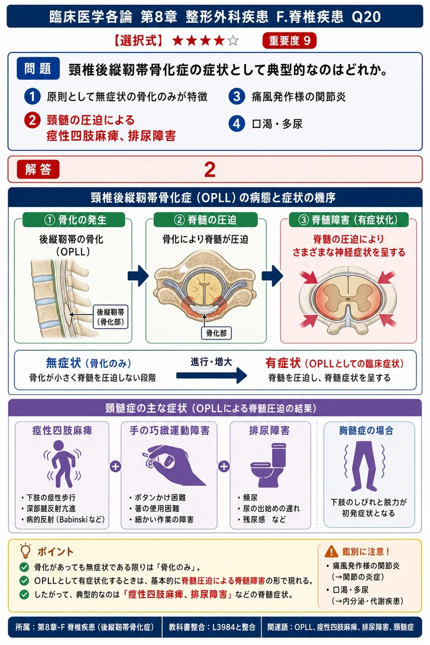 頸椎後縦靭帯骨化症の症状として典型的なのはどれか。 解説図
