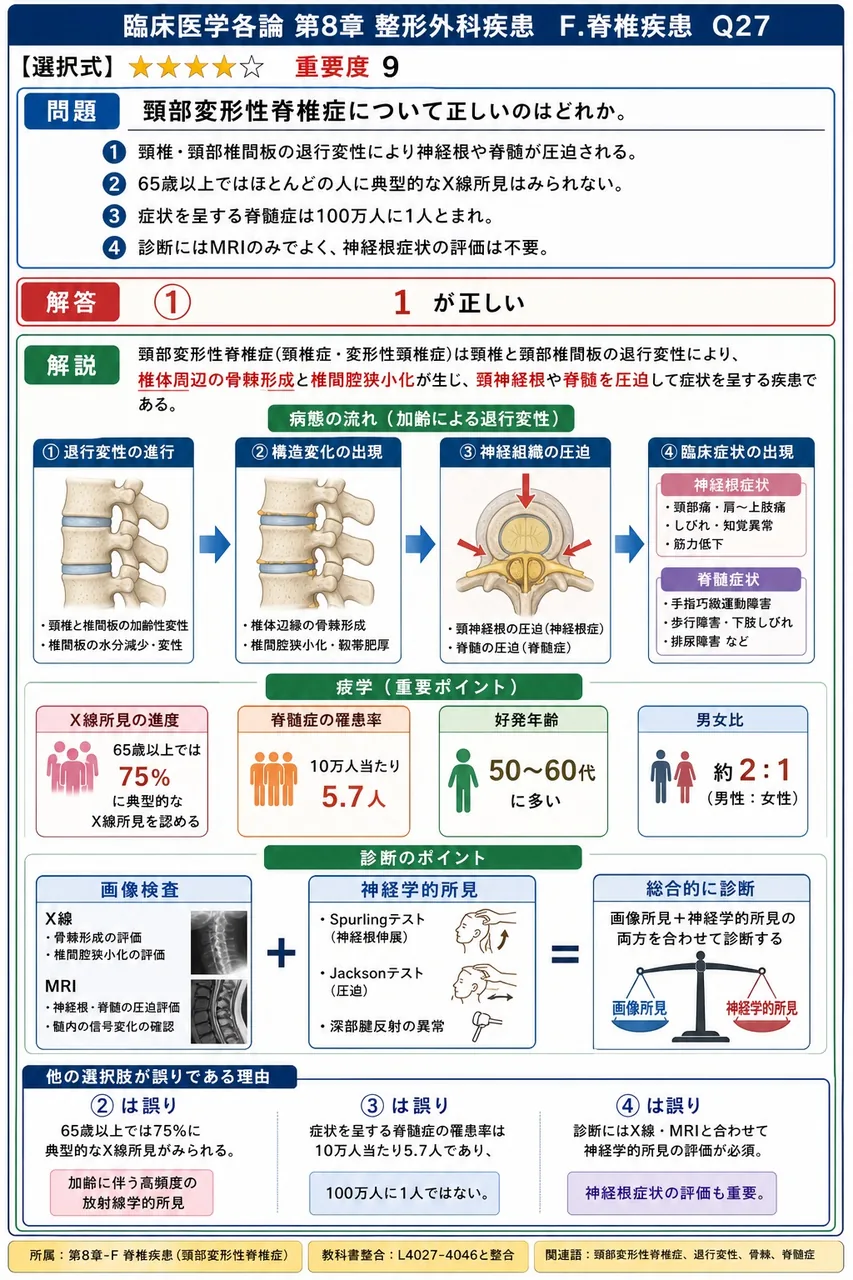 頸部変形性脊椎症について正しいのはどれか。 解説図