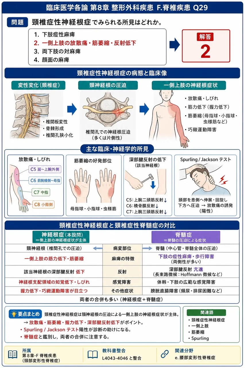 頸椎症性神経根症でみられる所見はどれか。 解説図