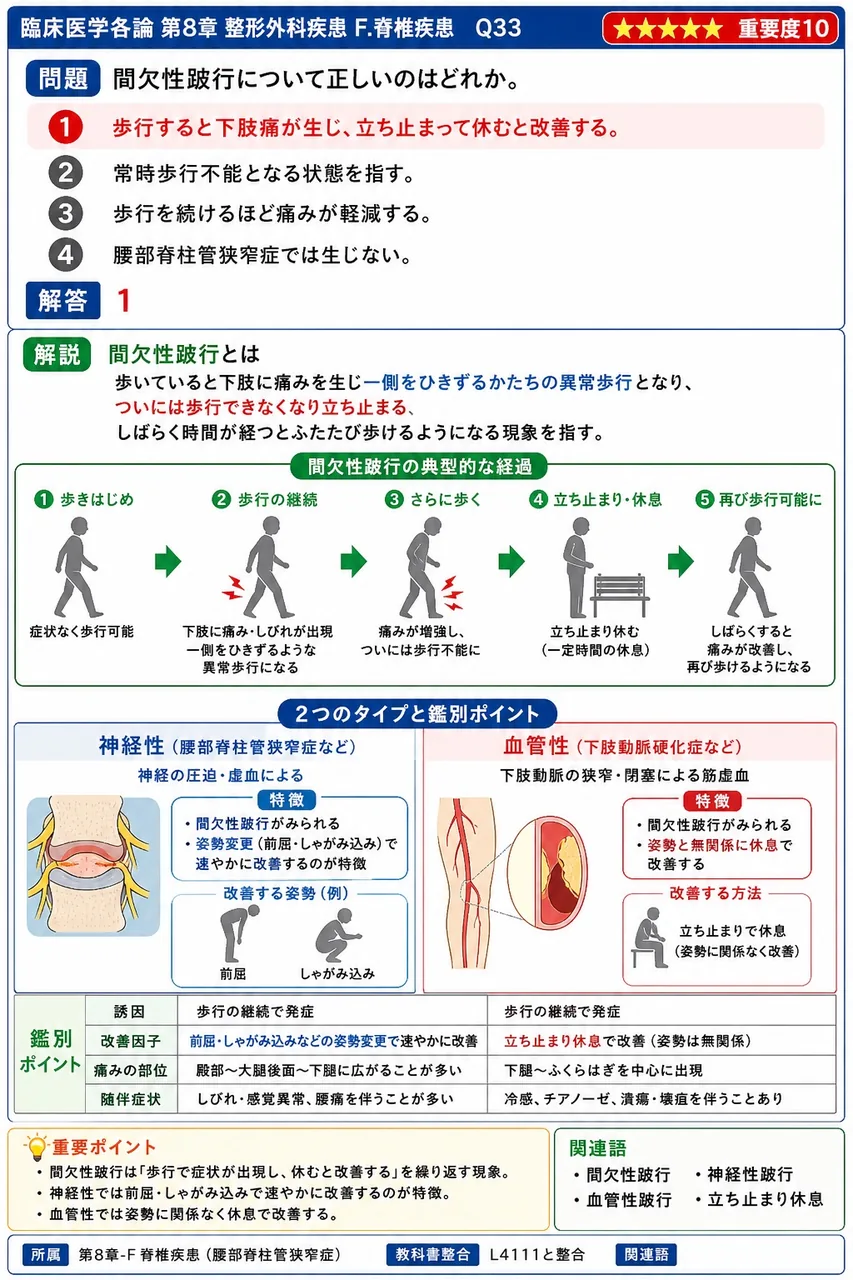 間欠性跛行について正しいのはどれか。 解説図