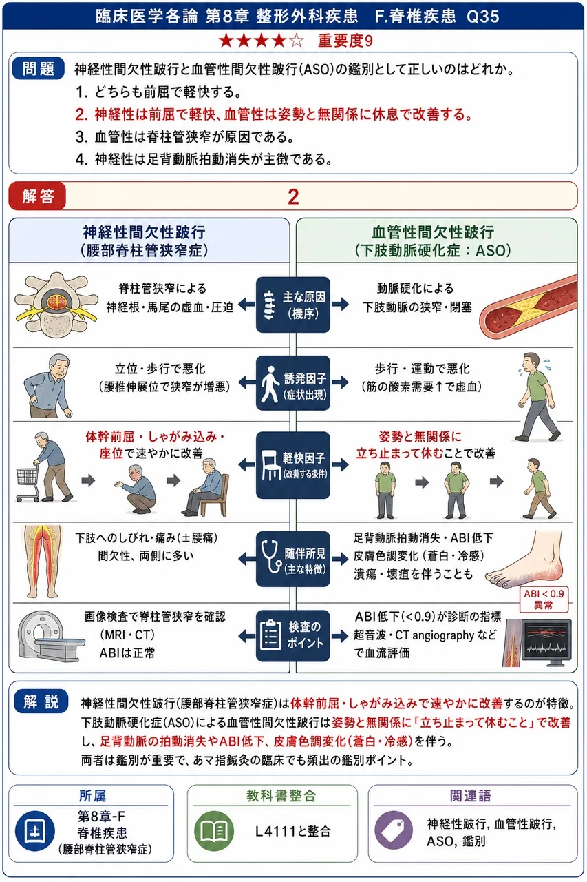 神経性間欠性跛行と血管性間欠性跛行(ASO)の鑑別として正しいのはどれか。 解説図