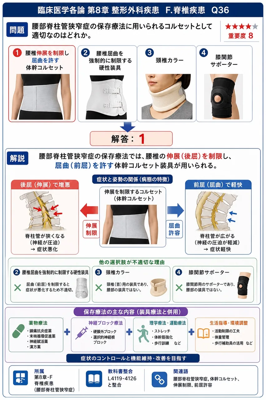 腰部脊柱管狭窄症の保存療法に用いられるコルセットとして適切なのはどれか。 解説図