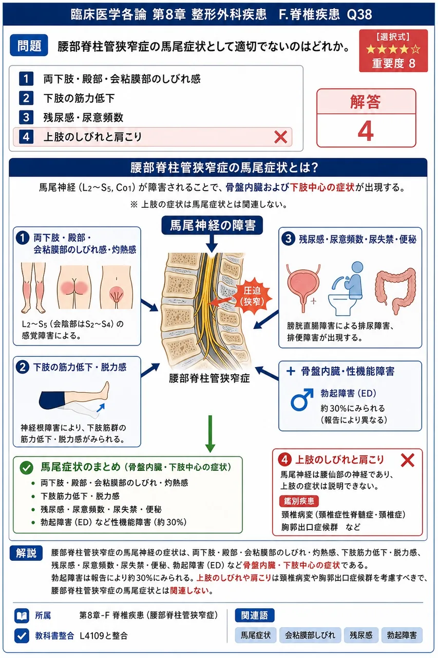 腰部脊柱管狭窄症の馬尾症状として適切でないのはどれか。 解説図