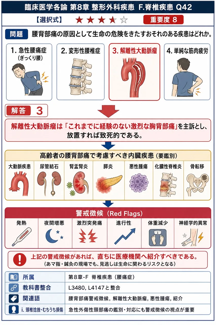 腰背部痛の原因として生命の危険をきたすおそれのある疾患はどれか。 解説図