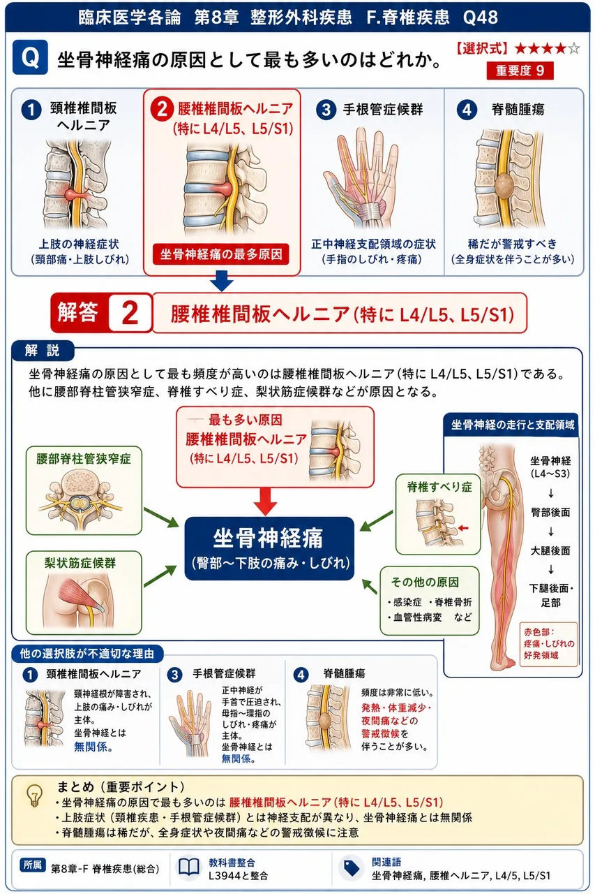 坐骨神経痛の原因として最も多いのはどれか。 解説図