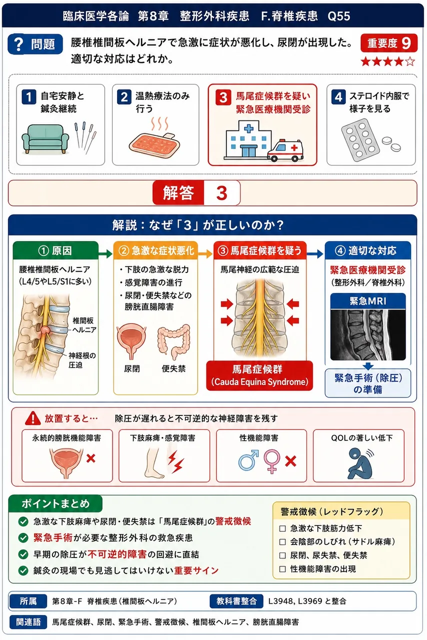腰椎椎間板ヘルニアで急激に症状が悪化し、尿閉が出現した。適切な対応はどれか。 解説図