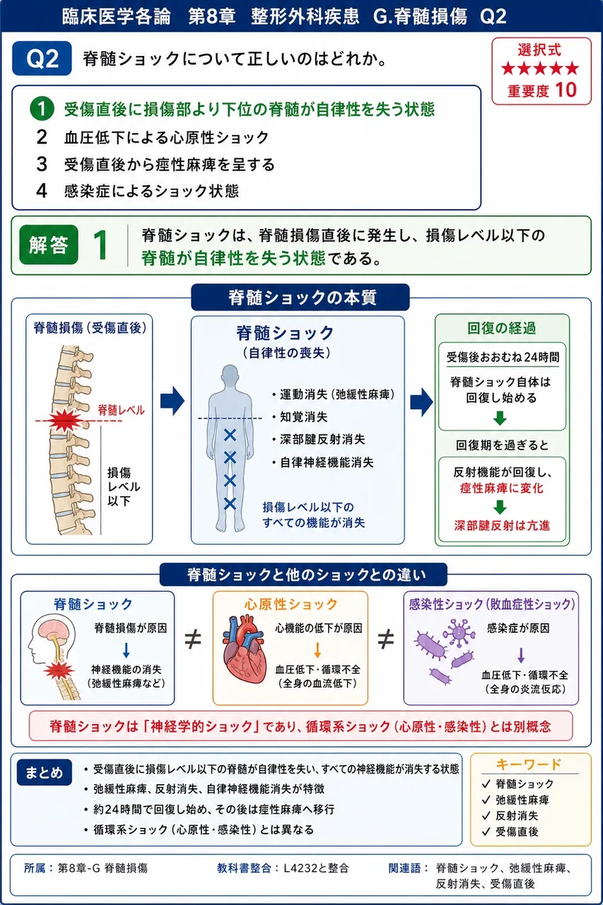 脊髄ショックについて正しいのはどれか。 解説図