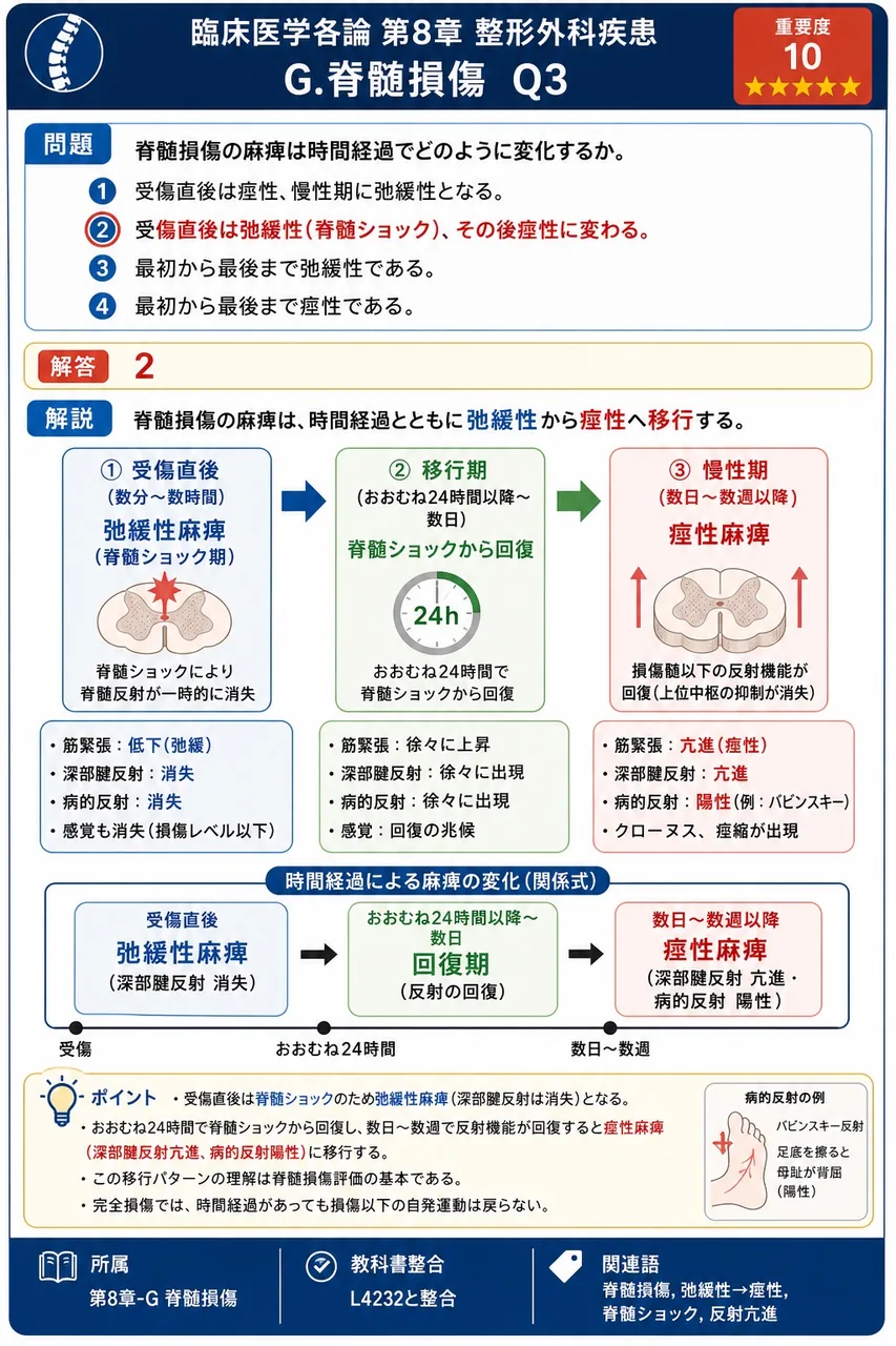 脊髄損傷の麻痺は時間経過でどのように変化するか。 解説図
