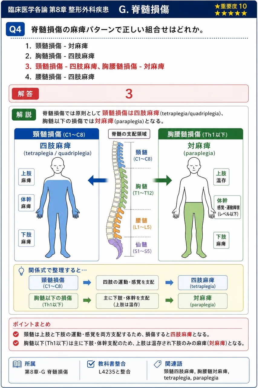 脊髄損傷の麻痺パターンで正しい組合せはどれか。 解説図