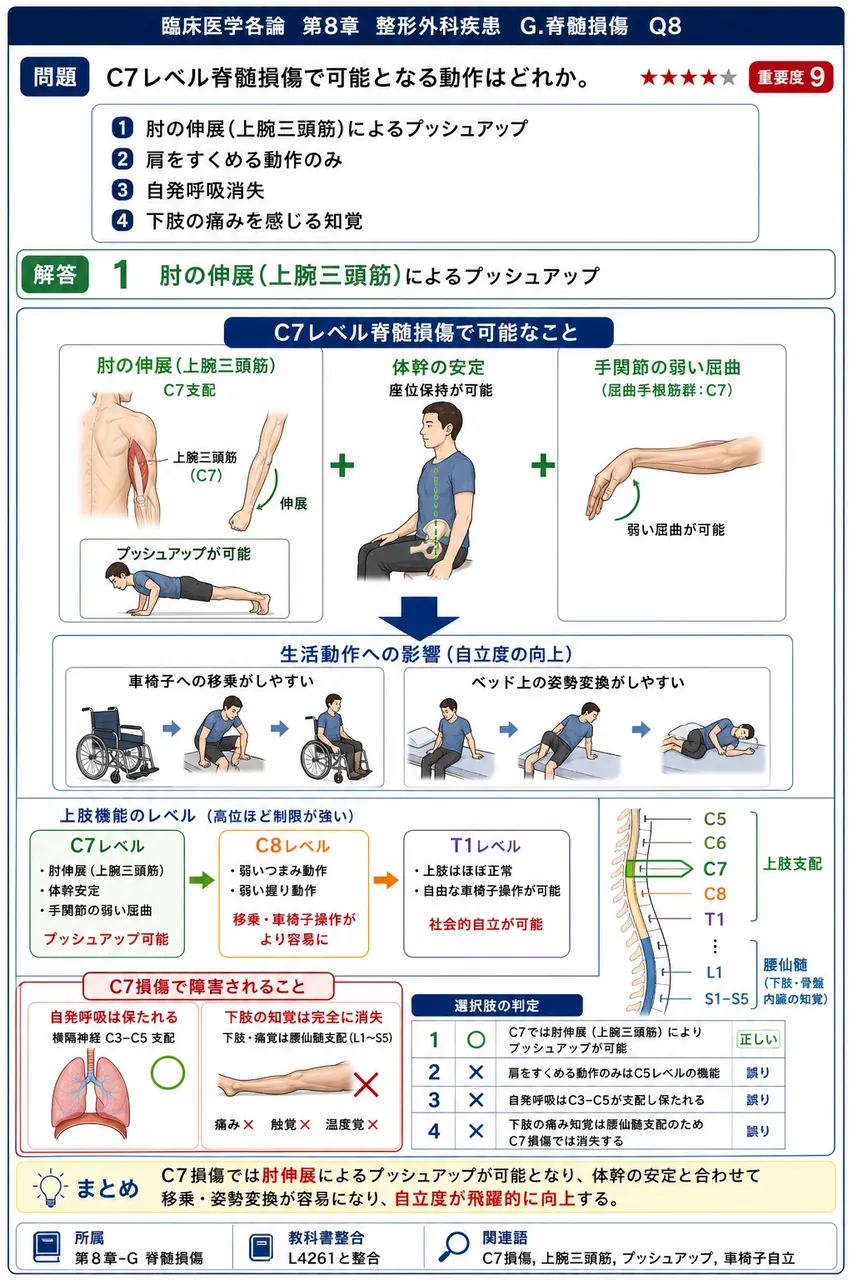C7レベル脊髄損傷で可能となる動作はどれか。 解説図