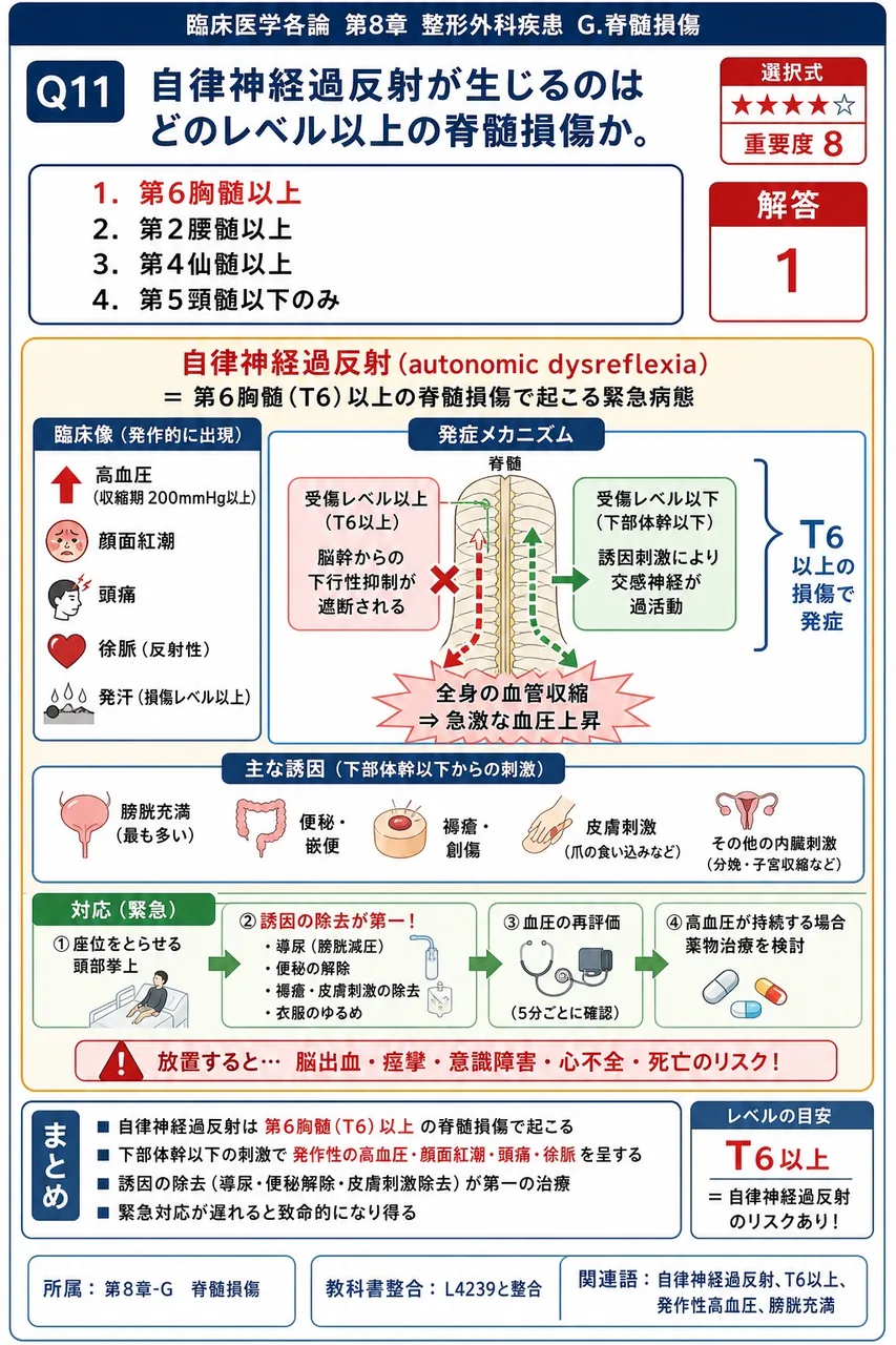 自律神経過反射が生じるのはどのレベル以上の脊髄損傷か。 解説図