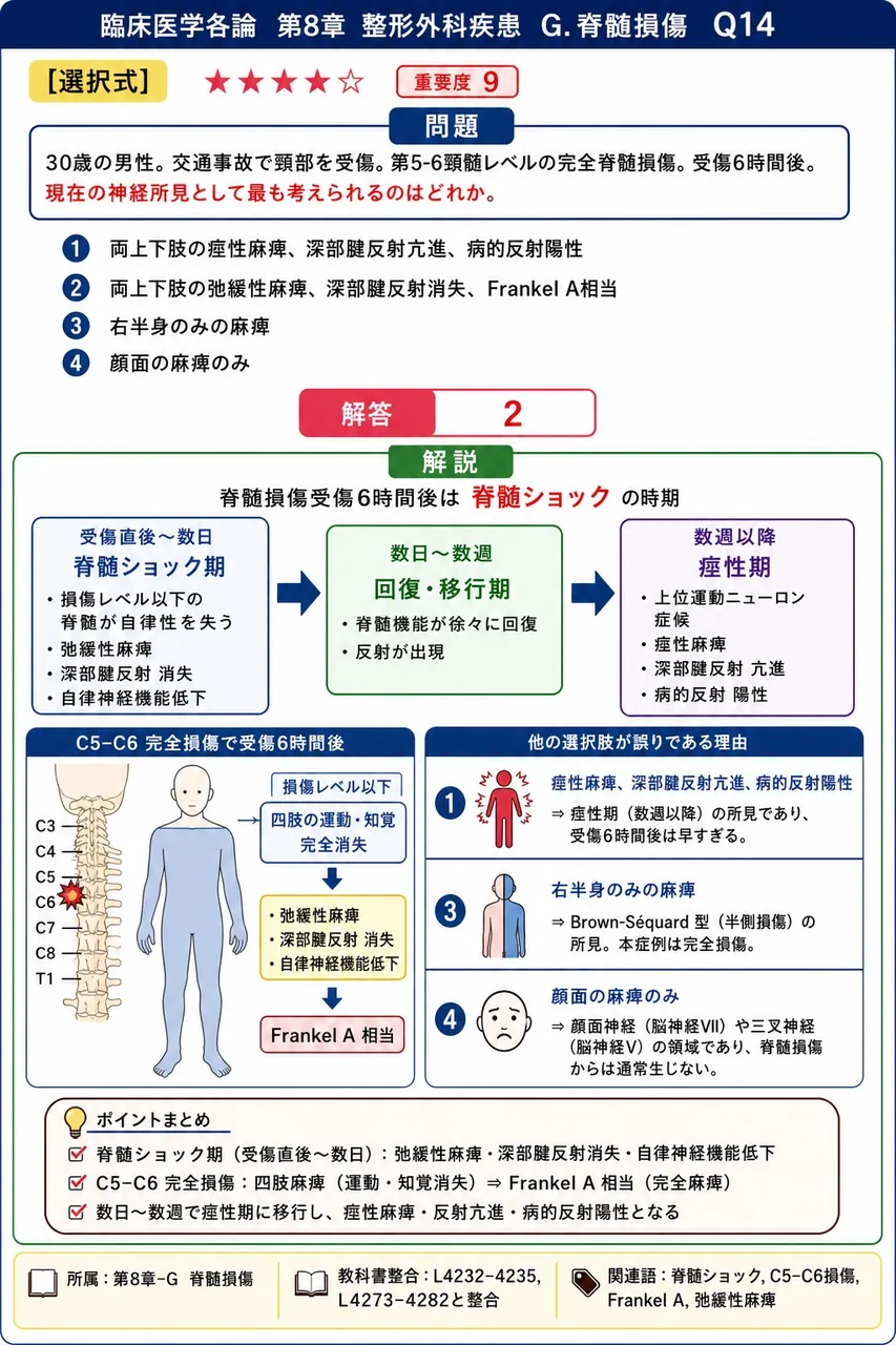 「30歳の男性。交通事故で頸部を受傷。第5-6頸髄レベルの完全脊髄損傷。受傷6時間後。」現在の神経所見として最も考えられるのはどれか。 解説図