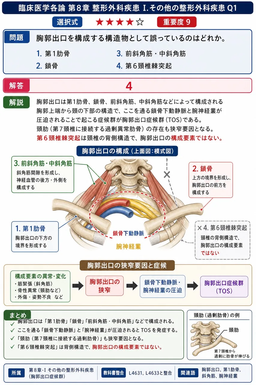 胸郭出口を構成する構造物として誤っているのはどれか。 解説図