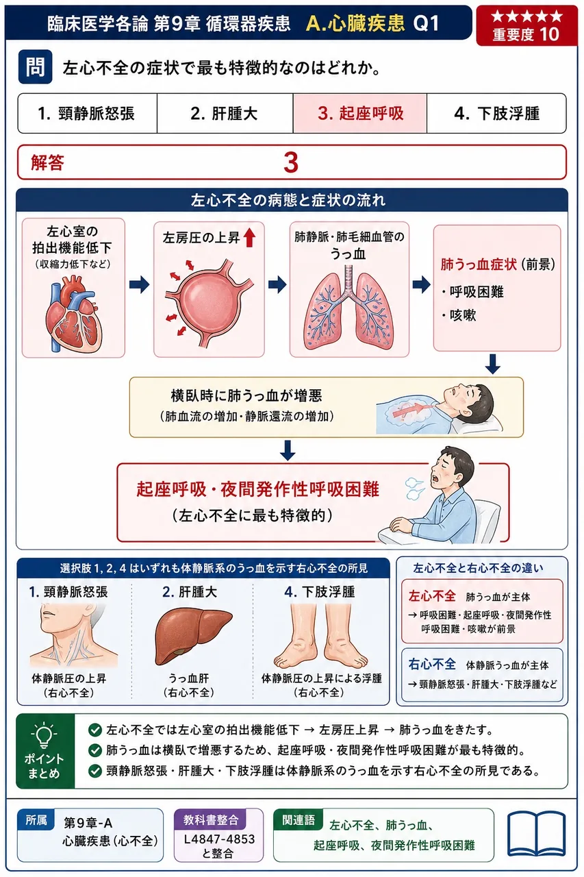 左心不全の症状で最も特徴的なのはどれか。 解説図