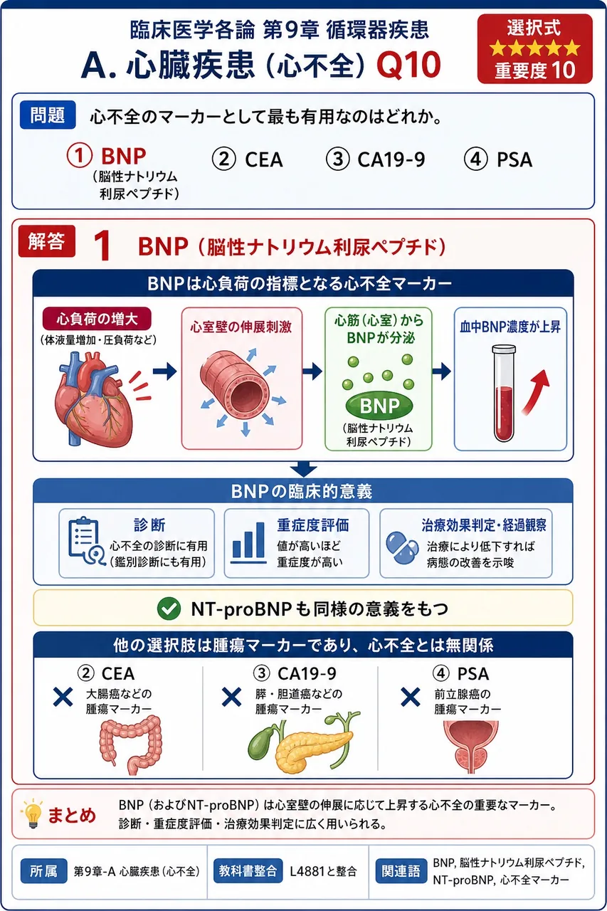 心不全のマーカーとして最も有用なのはどれか。 解説図