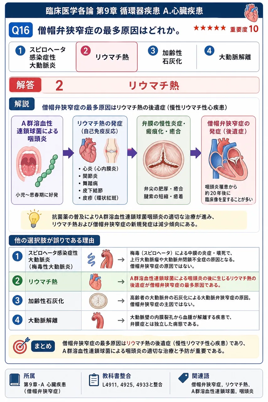 僧帽弁狭窄症の最多原因はどれか。 解説図
