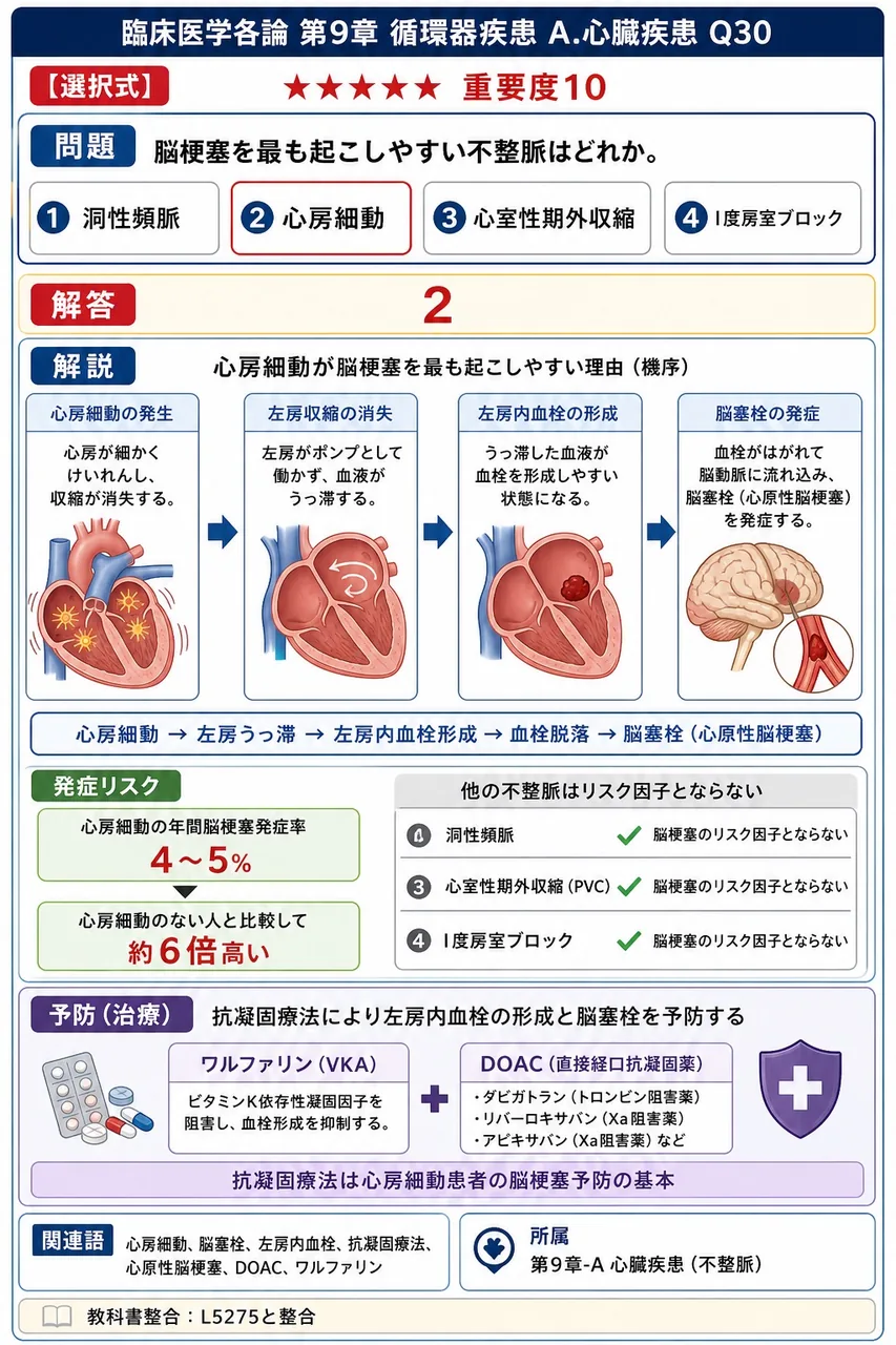 脳梗塞を最も起こしやすい不整脈はどれか。 解説図