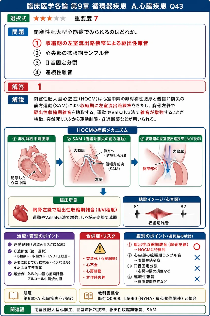 閉塞性肥大型心筋症でみられるのはどれか。 解説図