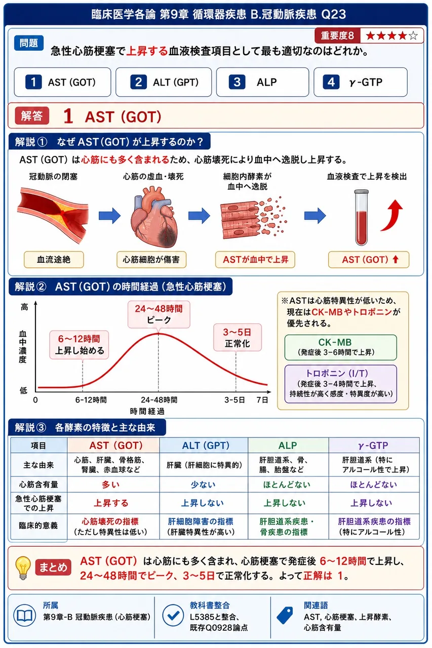 急性心筋梗塞で上昇する血液検査項目として最も適切なのはどれか。 解説図