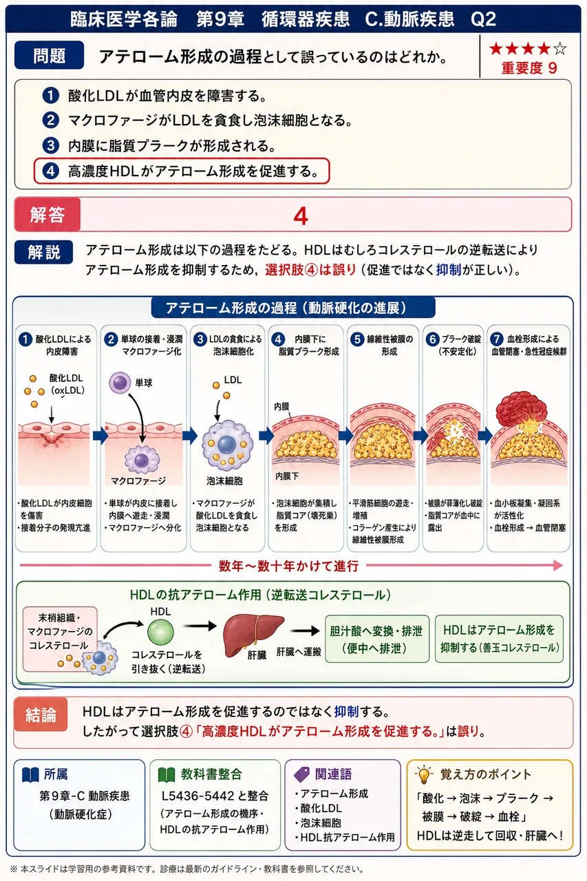 アテローム形成の過程として誤っているのはどれか。 解説図