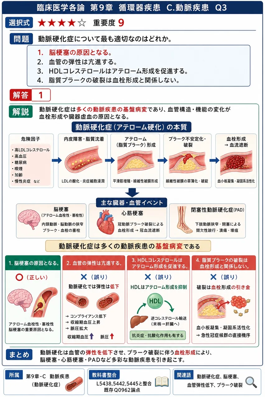 動脈硬化症について最も適切なのはどれか。 解説図