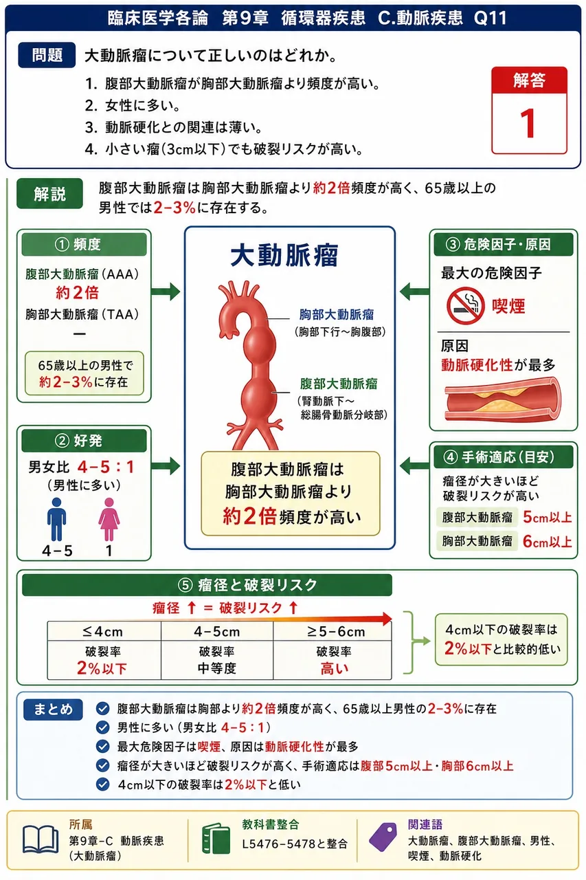 大動脈瘤について正しいのはどれか。 解説図