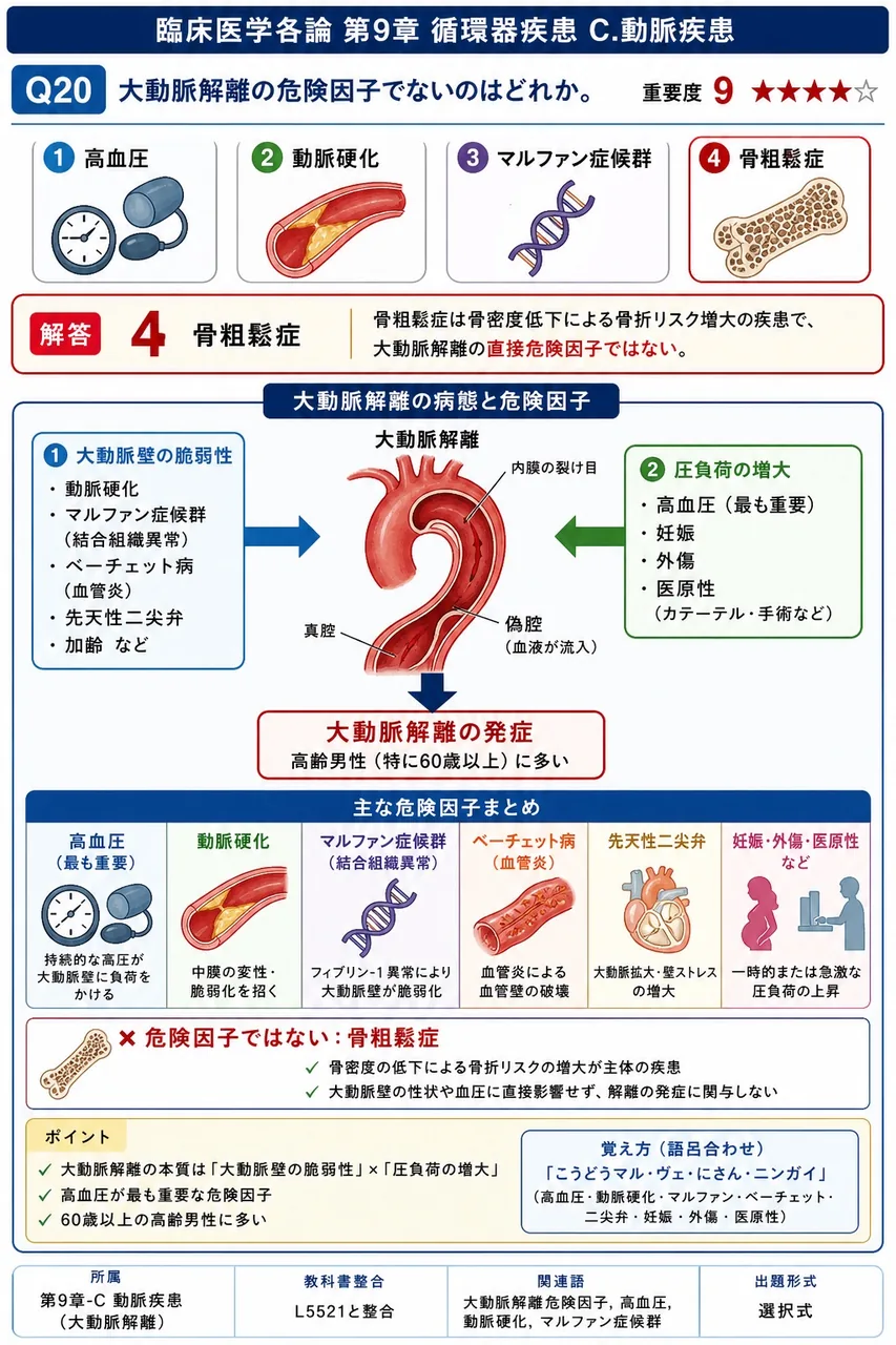 大動脈解離の危険因子でないのはどれか。 解説図