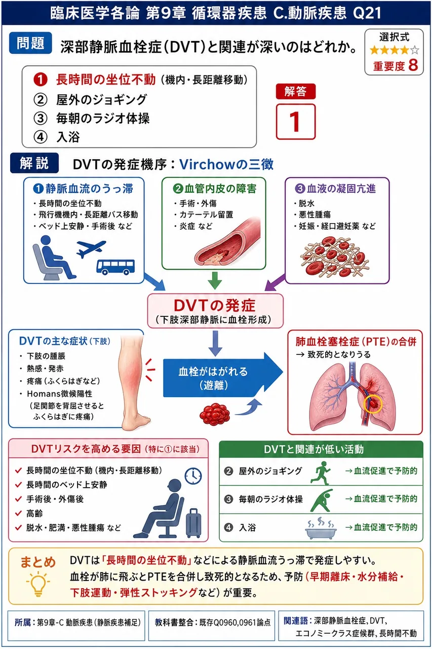 深部静脈血栓症(DVT)と関連が深いのはどれか。 解説図