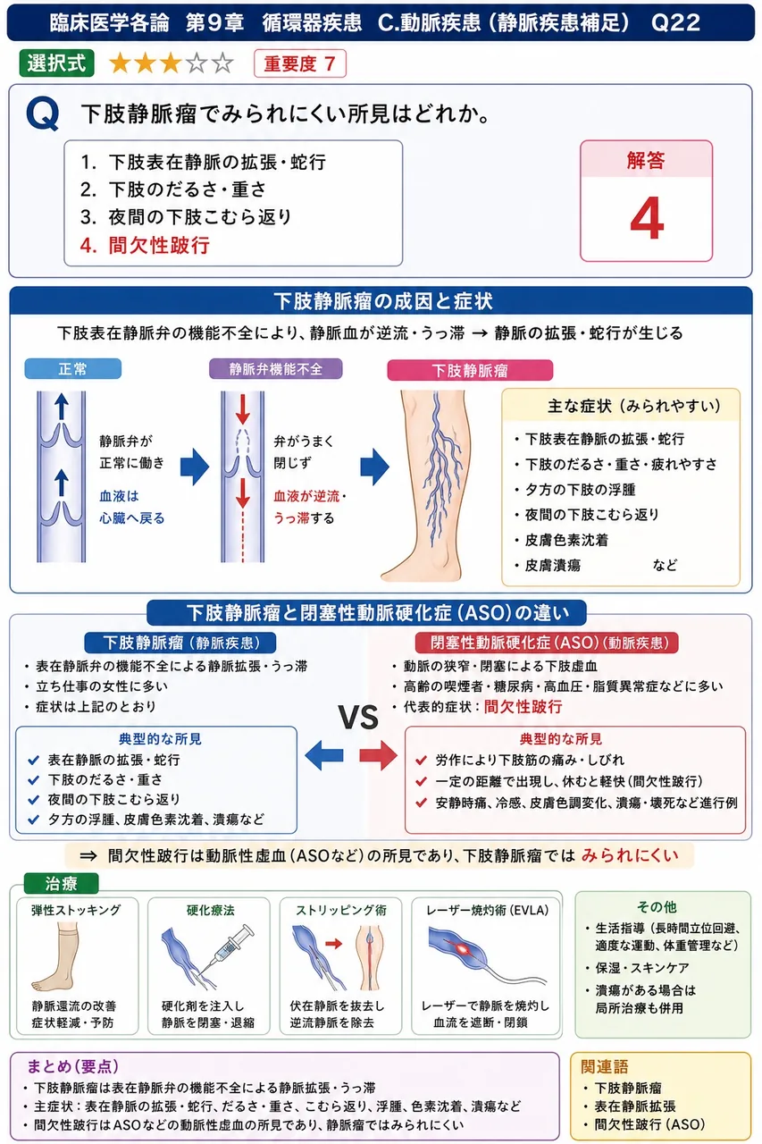 下肢静脈瘤でみられにくい所見はどれか。 解説図