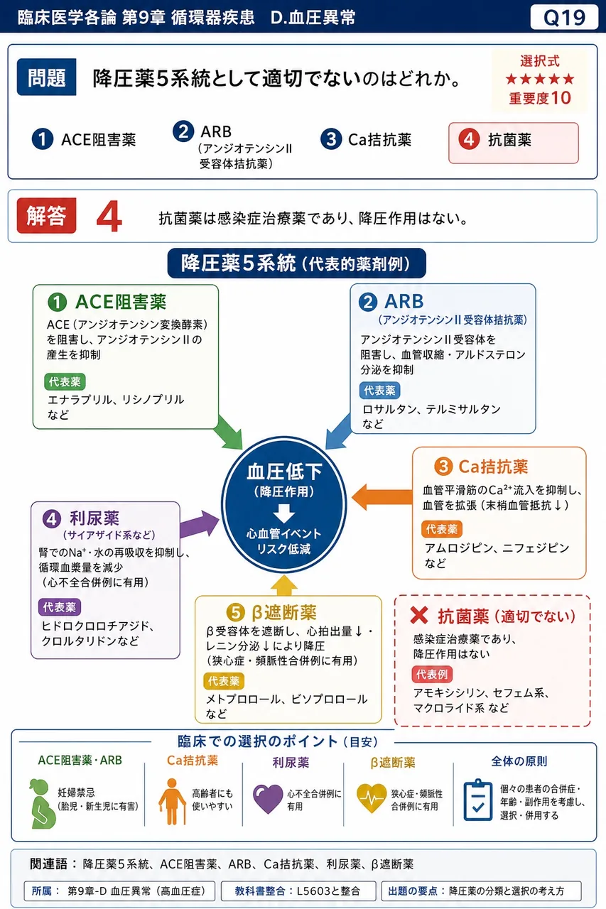 降圧薬5系統として適切でないのはどれか。 解説図