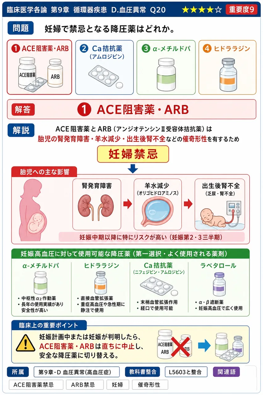 妊婦で禁忌となる降圧薬はどれか。 解説図