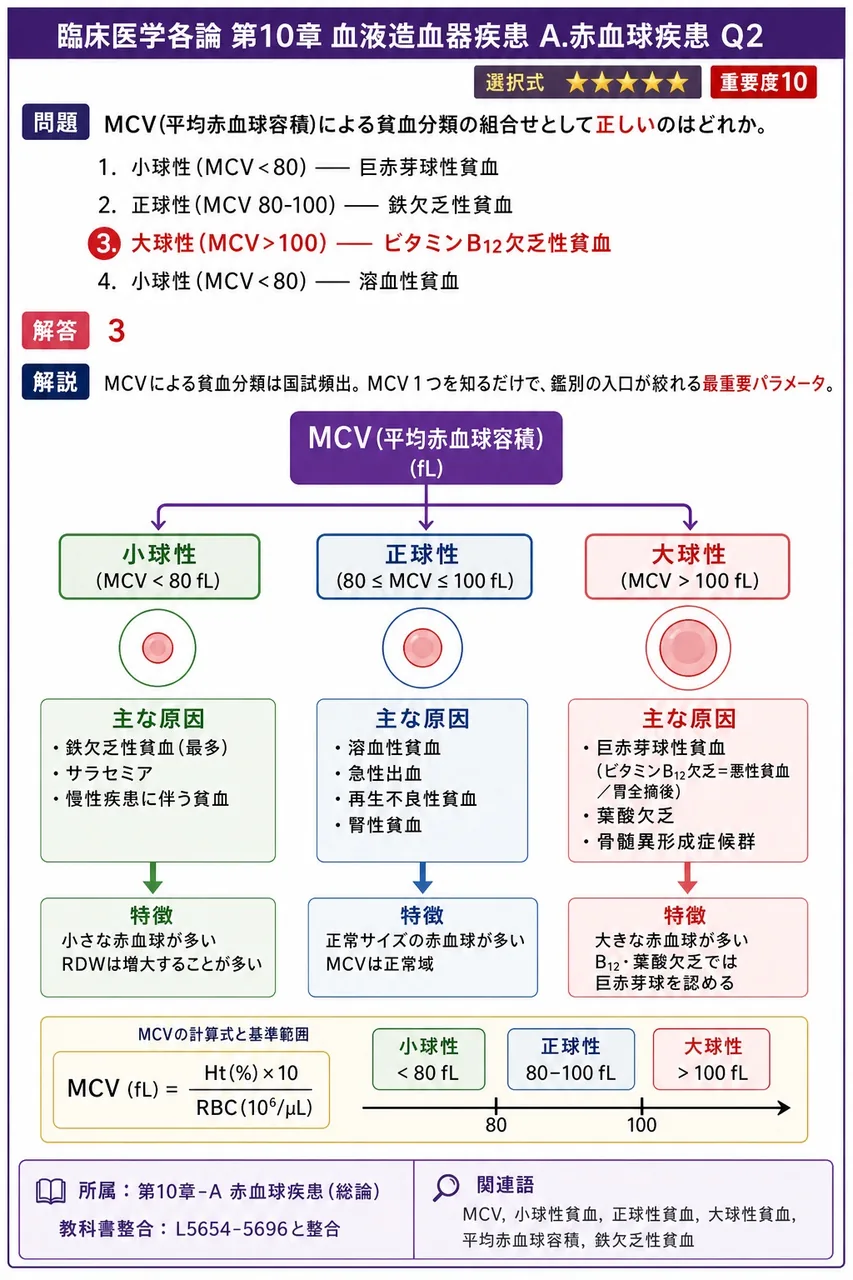 MCV(平均赤血球容積)による貧血分類の組合せとして**正しい**のはどれか。 解説図