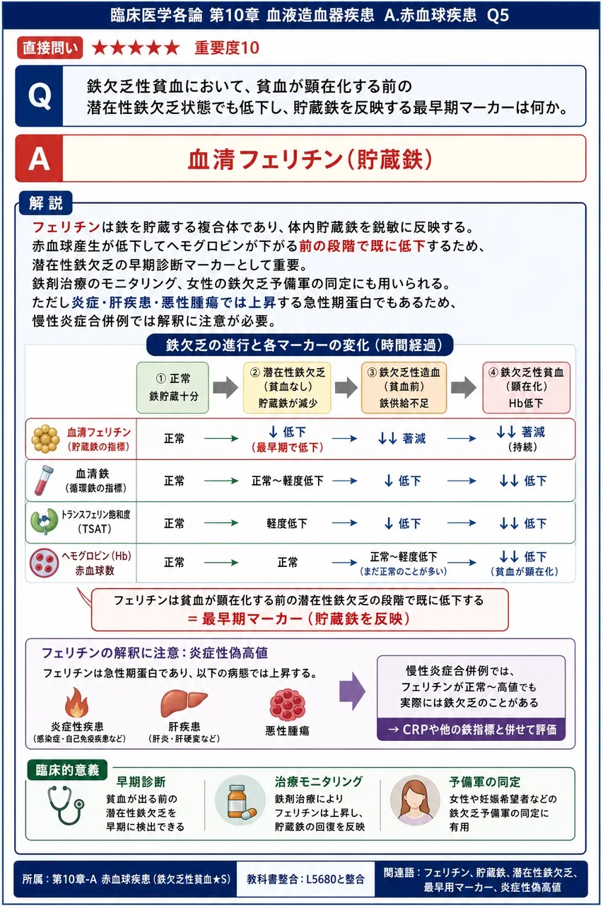鉄欠乏性貧血において、貧血が顕在化する前の潜在性鉄欠乏状態でも低下し、貯蔵鉄を反映する最早期マーカーは何か。 解説図