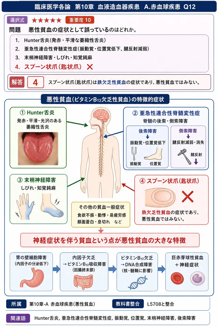 悪性貧血の症状として**誤っている**のはどれか。 解説図