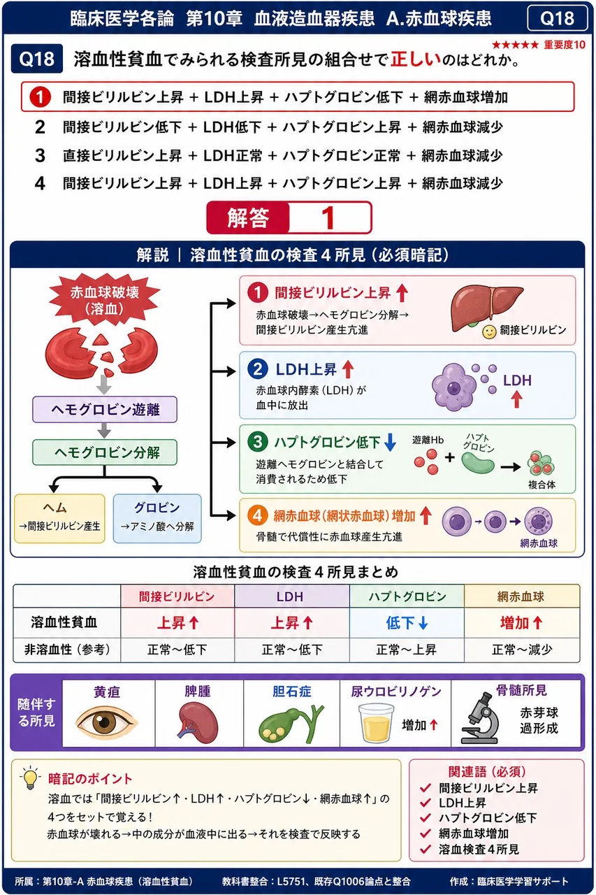 溶血性貧血でみられる検査所見の組合せで**正しい**のはどれか。 解説図