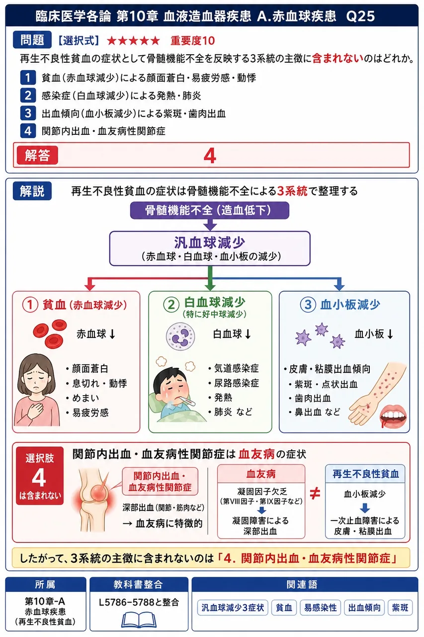 再生不良性貧血の症状として骨髄機能不全を反映する3系統の主徴に**含まれない**のはどれか。 解説図