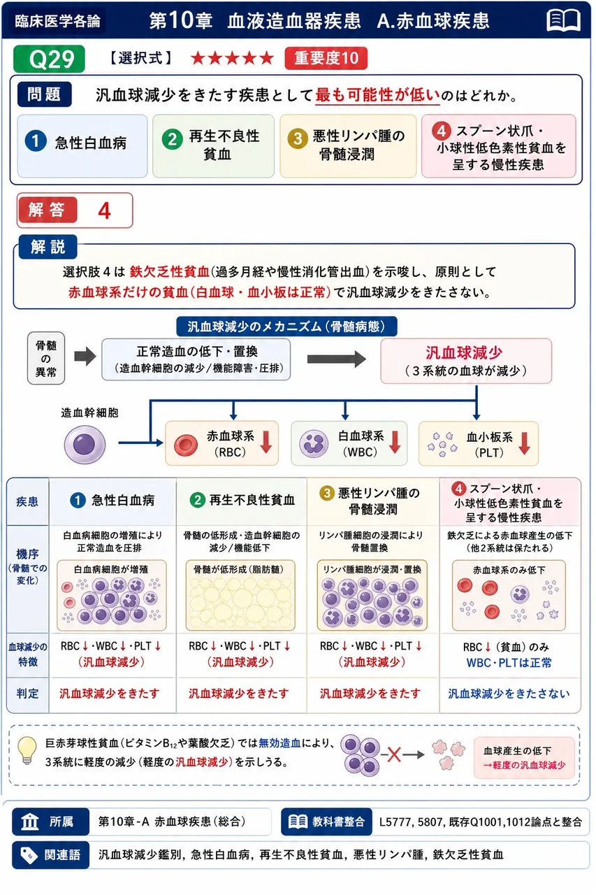 汎血球減少をきたす疾患として**最も可能性が低い**のはどれか。 解説図